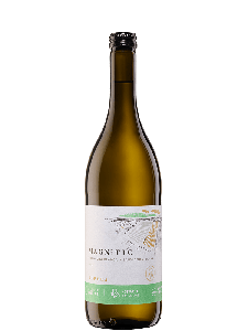 Torres, Magnetic Blanca Herbruikbaar 6x75cl